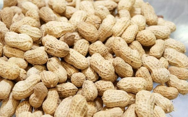 花生发芽了可以吃吗？花生发芽了能吃吗？[图]