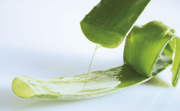 哪些植物可以吸收甲醛？新房里面放什么植物好？[图]