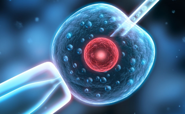 试管移植后注意事项？试管婴儿移植期间的注意事项？[图]