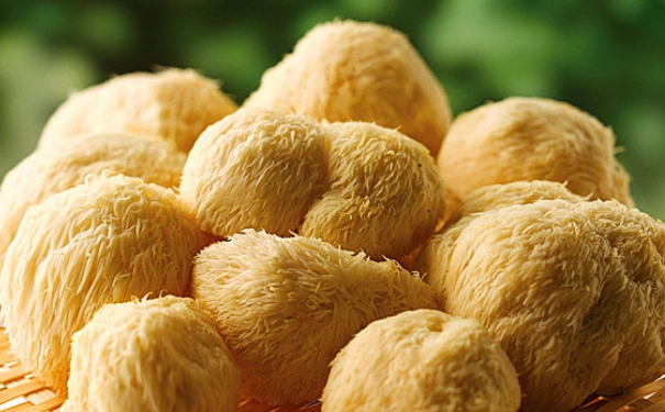 如何去除猴头菇的苦味？去除猴头菇苦味的方法有哪些？(1)