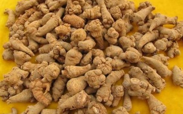 三七止血怎么样？三七止血效果[图]