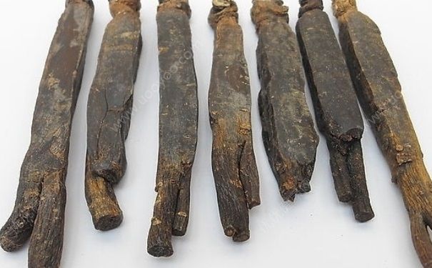 骨碎补增高效果好吗？骨碎补有增高作用吗？[图]