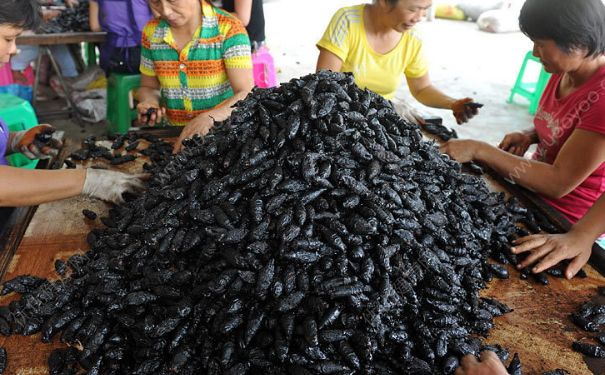 吃槟榔会得癌症吗？吃槟榔会不会患癌？(1)