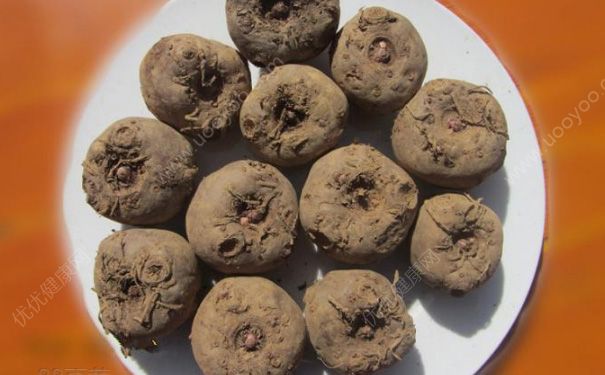 什么是“三芋五鲜”？应季养生食材怎么挑选？(1)