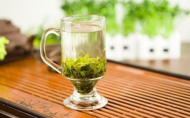 引起口臭的原因有哪些？苦丁茶可以治疗口臭吗？(1)