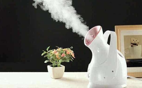 蒸脸器蒸脸用什么水最好？怎么用蒸脸器效果最好？(1)