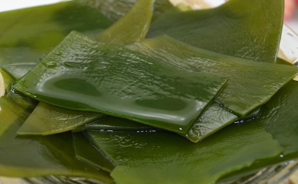 尿酸高能吃海带吗？尿酸高可以吃海带吗？(1)