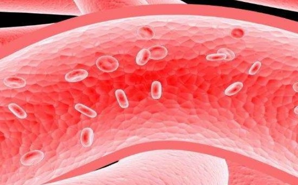 哪些人群血管易老化？如何预防血管老化？(1)