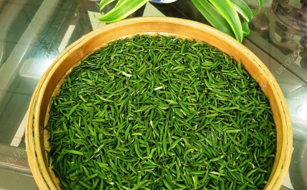 常喝绿茶有哪些好处？绿茶有抗癌效果吗？(1)