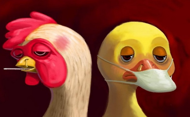 H7N9怎么预防？H7N9防控措施有哪些？(1)