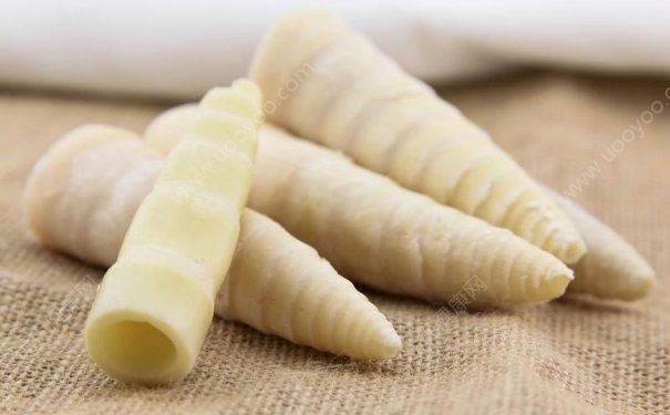 早春吃什么好？早春适合吃哪些食物？(4)