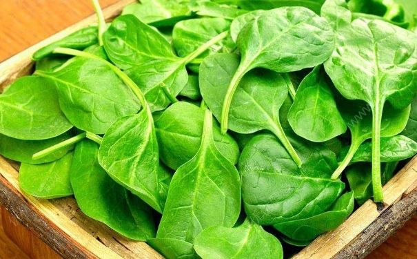 早春吃什么好？早春适合吃哪些食物？(3)