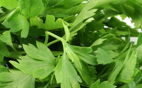 糖尿病尿是甜的吗？糖尿病人的尿是甜的吗？(1)