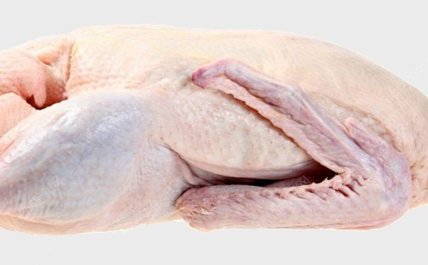 哪些食物不利于性功能？“败性”的食物要哪些？(1)