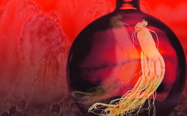 哪种人参适合泡酒？泡酒用哪个品种的人参？(1)