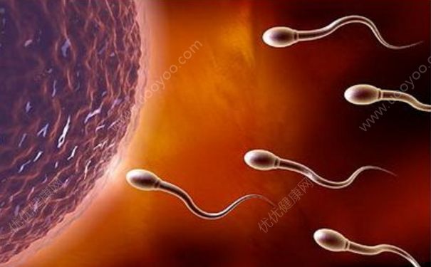 无精症会遗传给儿子吗？造成无精症的原因是什么？[图]