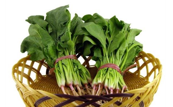 100公斤菠菜26元，吃菠菜对身体好不好？(1)