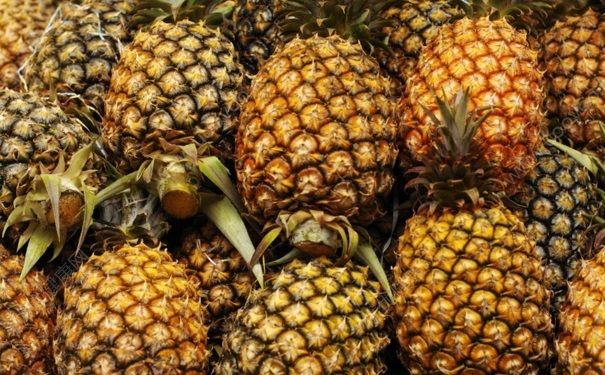 菠萝什么时候成熟？菠萝适合什么季节吃？(1)