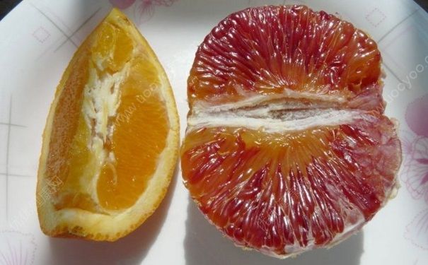 橙子有红色的吗？红色果肉的橙子是什么？[多图]