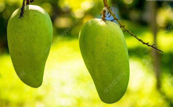 生芒果可以吃吗？没熟的芒果吃了会怎样？[多图]