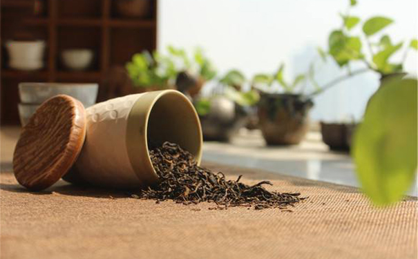 秋季润肺茶饮有哪些？秋季润肺可以吃什么食物？[图]