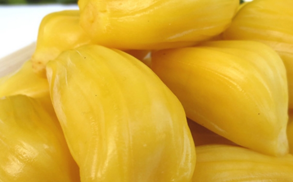 菠萝蜜的核怎么吃呢？菠萝蜜的核可以吃吗？[图]