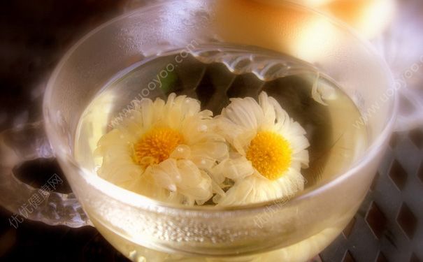喝野菊花茶有什么用？野菊花茶能多喝吗？(1)