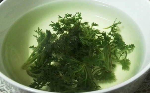 茵陈是什么？茵陈有哪些功效？(1)