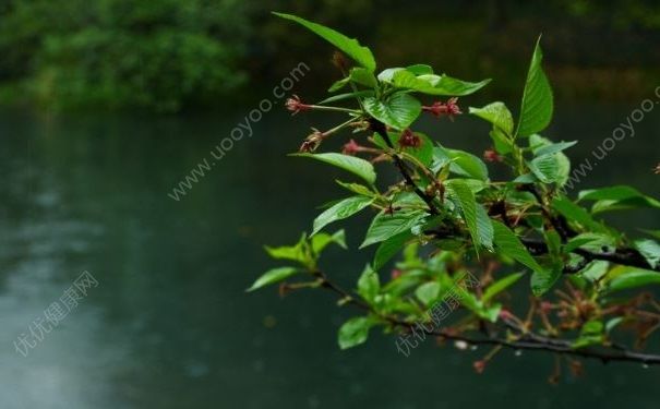 倒春寒来了，倒春寒要注意什么？(4)