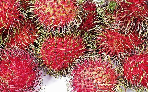 红毛丹小孩可以吃吗？红毛丹小孩能吃吗？(1)