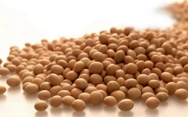 豆制品可以豆制品可以保养卵巢保养卵巢吗？黄豆对保养卵巢有作用吗？(1)