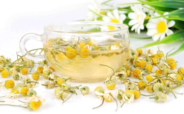菊花茶有哪些饮用方法？菊花茶的喝法(1)