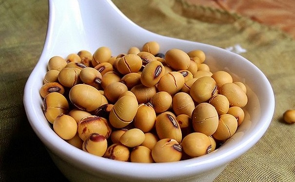 大豆异黄酮是什么？大豆异黄酮是激素吗？(1)