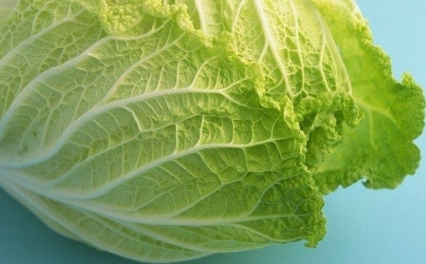 大白菜的热量是多少？大白菜的热量高不高？[图]