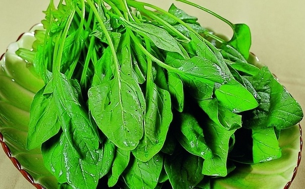 菠菜糖尿病人能吃吗？糖尿病吃菠菜好吗？(1)