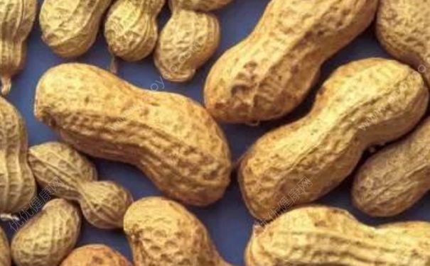花生属于豆类吗？什么人不宜吃花生？[图]