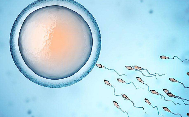 提高精子质量有哪些方法？男人如何提高精子质量？(1)