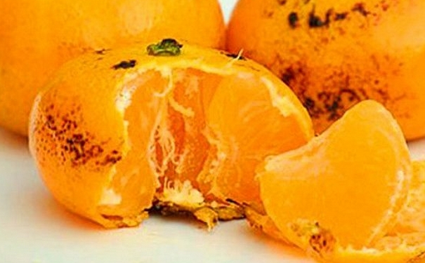 小儿风寒咳嗽吃什么食物好？小儿风寒咳嗽怎么缓解？[图]