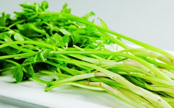 芹菜的营养价值高吗？芹菜配什么榨汁好？[图]