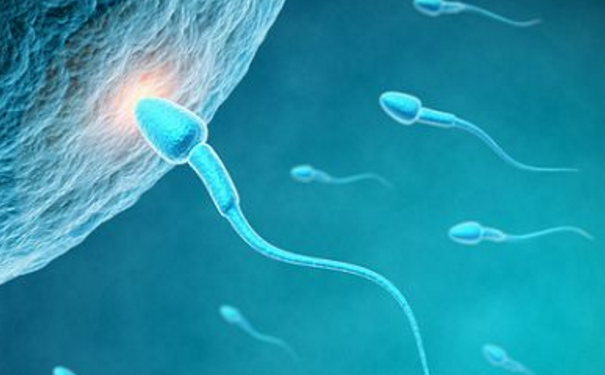 如何提高精子活力？精子活力不够怎么调理？(1)