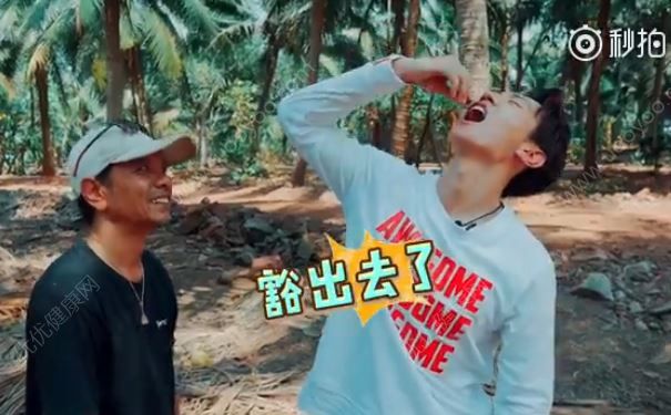 男星吃虫子，吃虫子有什么好处？(1)