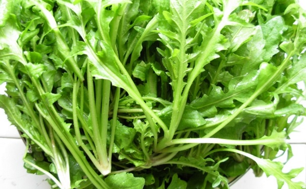 荠菜糖尿病人能吃吗？糖尿病能