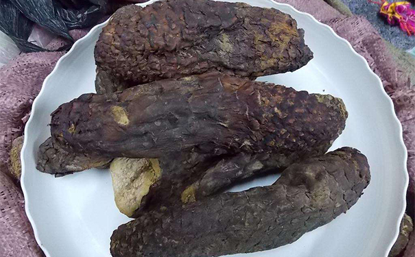 肉苁蓉入药有什么作用？肉苁蓉有哪些药用功效？(1)