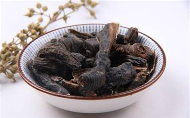 地龙入药有什么作用？地龙有哪些药用功效？(1)