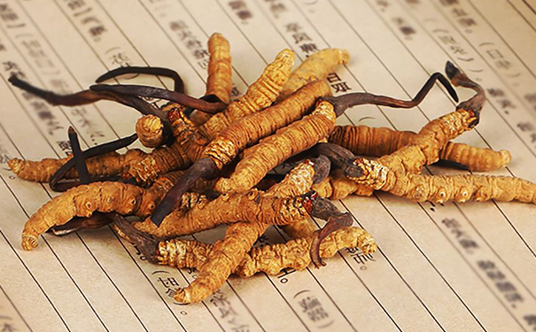 名贵中草药怎么保存？一般中草药要怎么保存？(1)