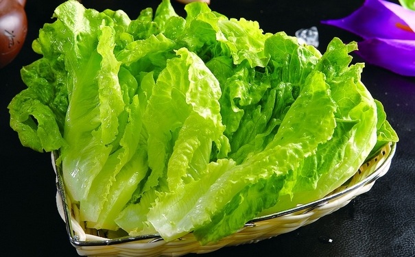 生菜哺乳期可以吃吗？哺乳期生菜能吃吗？(1)