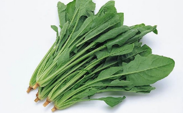 春季吃菠菜的好处有哪些？春季怎么吃菠菜？(1)