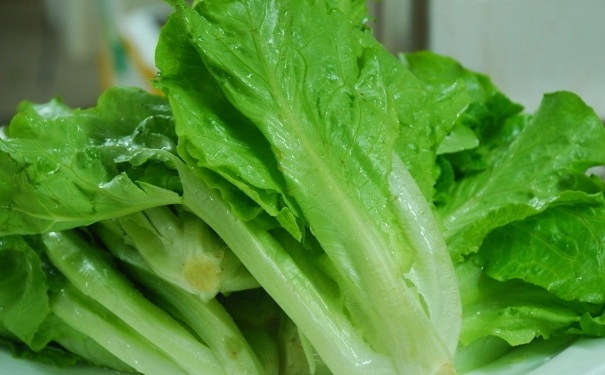 生菜不能和什么一起吃？生菜不能和什么同食？(1)