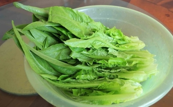 莴笋叶苦能吃吗？莴笋叶苦可以吃吗？(1)