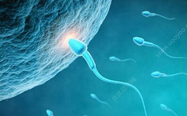 精子成活率怎么取精子？测精子成活率时如何提取精液？(1)